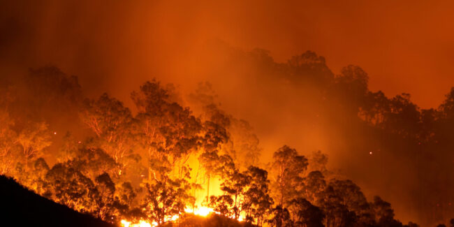 bushfire smoke exposure
